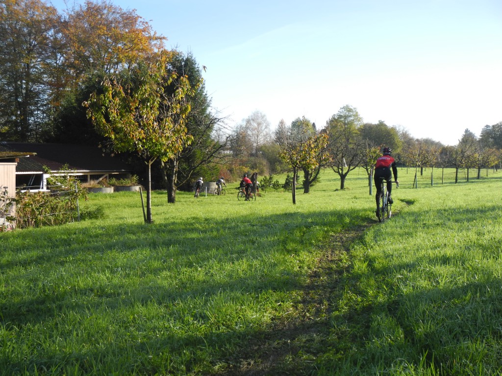 Obstbaum_grupette