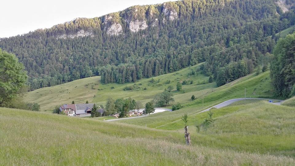 Das Bergrennen Rüttenen – Balmberg geht an den VC Peloton!!!